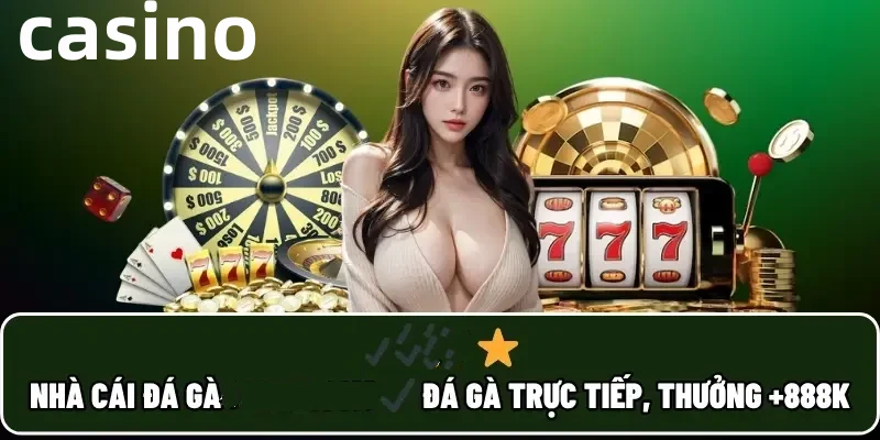 d8win